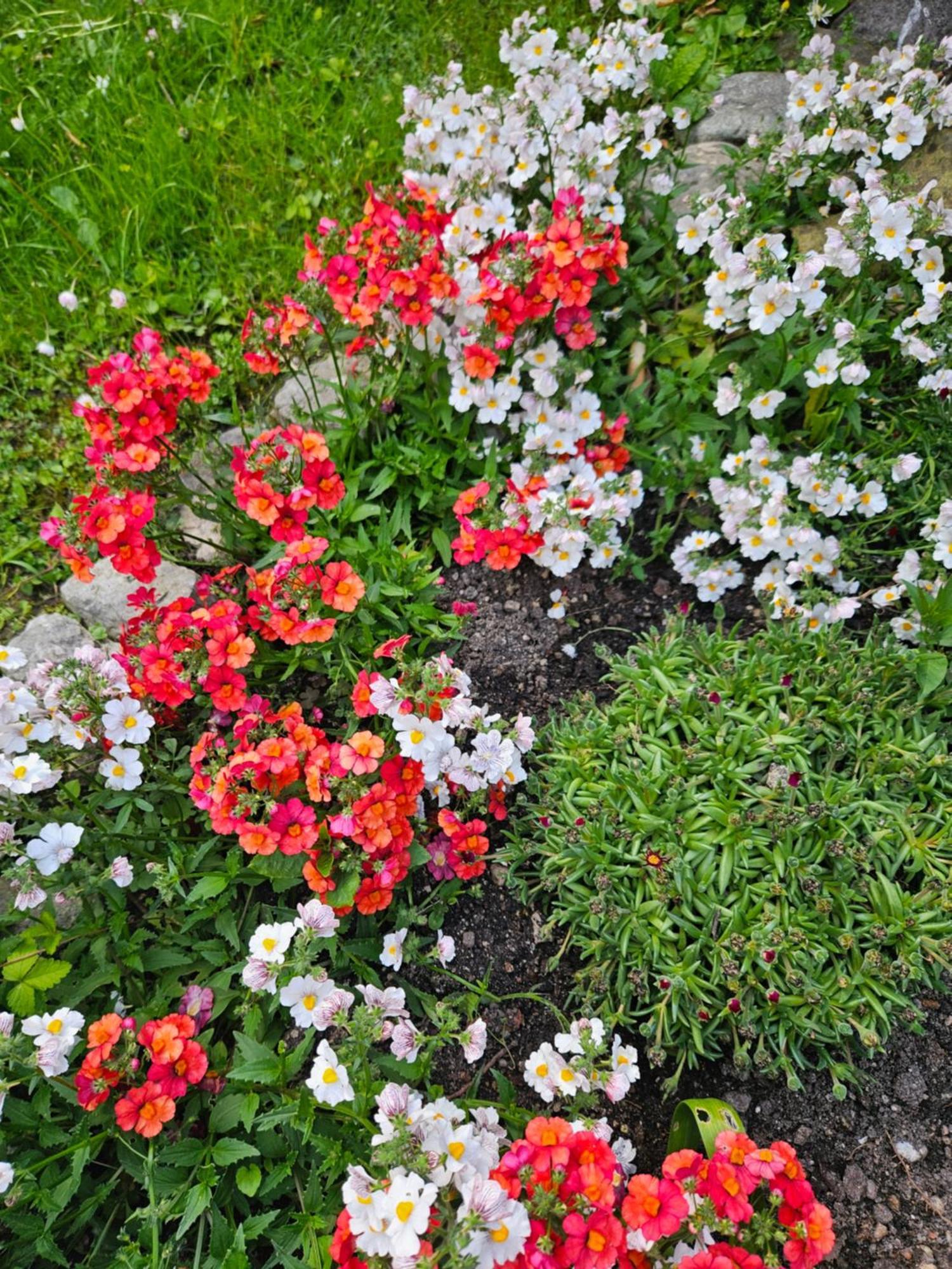 Gardainn Giardino 38A Riva del Garda Ngoại thất bức ảnh